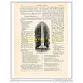 OBELISK TO POPE'S MOTHER, TWICKENHAM, BOOK ILLU...