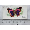 1932 John Player & Sons Butterflies No. 42 Sout...
