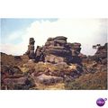 GB Postcard - Brimham Rocks, Near Ripley, Yorks...