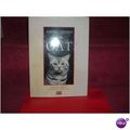 CAT/ ENCYCLOPEDIA (10/11)