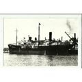 Anglo American Oil Co. SS SEMINOLE Postcard