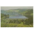 Lake Vyrnwy Powys Postcard 114