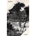 Dal Fiume-al cielo Italy Postcard unused VGC