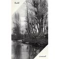 Nudita-Invernali Italy Postcard unused VGC