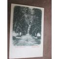 Early Stengel Postcard - Hampton Court Avenue, ...