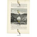 Ruins Of The Dyke, Reservoir, Lorca, Spain, Boo...