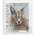 ZIMBABWE 1999 AFRICAN CATS FAUNA ENVIRONMENT CA...