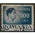 Mi 958 y (ʘ): 300 L. grey-blue Definitive Stamp...