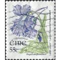 EIRE, FLOWER, Butterwort, Pinguicula grandiflor...
