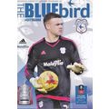 CARDIFF CITY v FULHAM FA CUP ROUND 3 2016/17