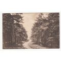 The Wrekin Pathway Wellington Postcard 1917 Shropshire