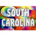 South Carolina Tye Die Fridge Magnet