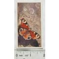 Vintage: Dutch card Jac. P. Thijsse, Lente No. ...