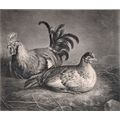 HEN AND COCKEREL ON STRAW 1823 Kaspar Auer - Ae...