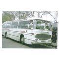 Colour Photograph of Samuelson New Transport Co...