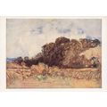 John Sell Cotman Postwick Grove Painting Postcard
