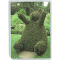 Rhode Island Portsmouth Bear Green Animals Cory...