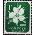 Norfolk Island. 1953 1d S.G.24 Unmounted Mint