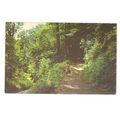 FAIRLIGHT GLEN, HASTINGS, SUSSEX. unused vintag...