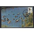 FDC Postcard 1757b 13c Mallard (No Cachet-U/A) ...