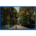 Postcard Valley Road Habberley Shropshire Nr Sh...