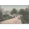 Endcliffe Woods, Sheffield, Yorkshire, c.1905 -...