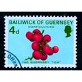 GUERNSEY 1970 SG 36 4d GUERNSEY TOMS FINE USED #