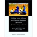 Making Sense of Peace and Capacity-Building Operations: Rethinking Policing and