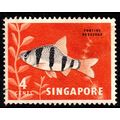 Malaya Singapore 1962 Fish 4c Used Stamp