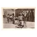 NATIVE CAMEL CARTS, ADEN, YEMEN unused vintage ...