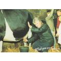 Milking A Cow at Clovelly Wish You Were Here Gr...