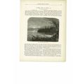 St John's River, Florida, USA, Book Illustratio...
