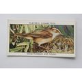 1932 John Player & Sons Wild Birds No. 44 Sedge...
