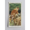 1932 John Player & Sons Wild Birds No. 21 Linne...