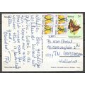 Kenya - Carte Postale REF 8