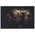 Bronwyn Oldham Florescent Tulips Leigh On Sea P...