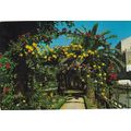 Murcia Jardin Floridablanca Spain Postcard unus...