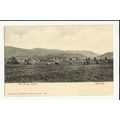 Cumberland KESWICK Druids Stones Postcard by St...