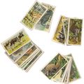 AFRICAN WILD LIFE Brooke Bond Tea cards full se...