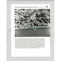 (8499) King's Lynn St Margaret's / Purfleet Rev...