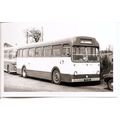 Black & White Photograph of Sergent's Coaches -...
