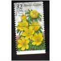 1996 USA winter aconites 32c multi F/U SG3166