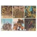 FLOWERS OF AUSTRALIA used postcard with agate s...