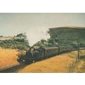 Southern Steam Trust No 4 Drummond M7 0 4 4T Nu...