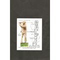 Players Golf 1939 Card #24 No 1 Iron Full Shot ...