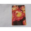 WEBBS GARDENING CARDS (ROSES) NO 2 (24/12) POST...