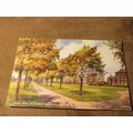 Valentines Postcard - Southsea Common, Portsmou...