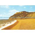 D025244 Golden Cap. Dorset. From Seatown Beach....