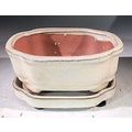"Beige Ceramic Bonsai Pot -RectangleWith Humidi...