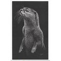 Otter - World Wildlife Fund Postcard